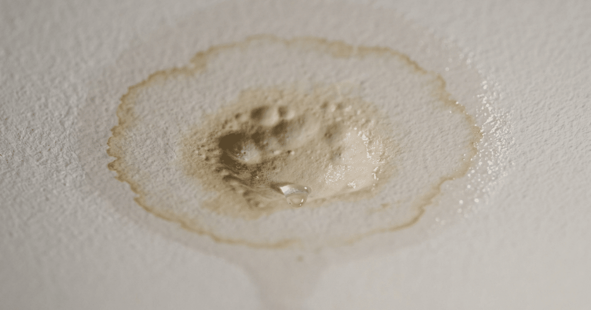 roof leak repair fort worth texas